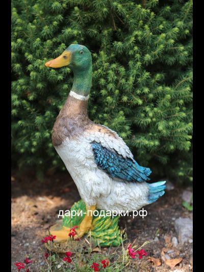 Селезень - красавец 40*28см полистоун Россия 1675/012564*