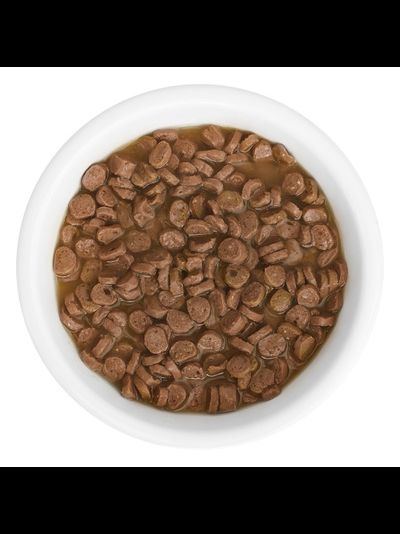 Florida (Флорида) влажный корм (пауч) для котят, кусочки с лососем в соусе 85 г