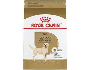 Royal canin retriever labrador sale