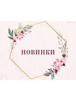 НОВИНКИ