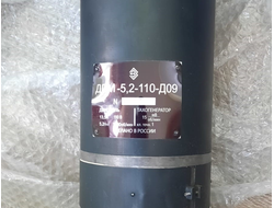 Электродвигатель ДПМ 5.2-110-Д09