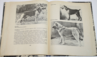 Твой друг. Сборник по собаководству. М.: ДОСААФ. 1973 г.