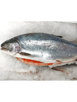 ФОРЕЛЬ МОРСКАЯ С/М С ГОЛОВОЙ ПОТРОШЕНАЯ МУРМАНСК 2-3кг