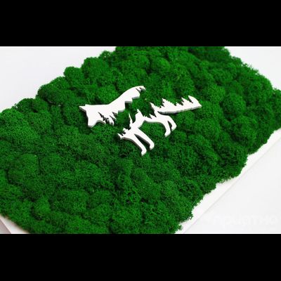 ЖИВАЯ ЭКО-КАРТИНА 1036