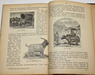 Бэр П. В царстве животных. М.:  Тип. Русского товарищества, 1912