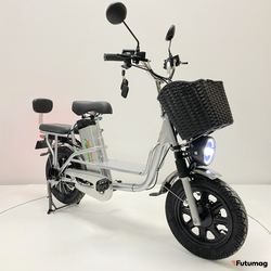 Электровелосипед GreenCamel Транк Монстр (R16FAT 800W 60V20Ah) гидравл. тормоз