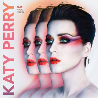 Katy Perry Official Календарь 2019 Иностранные перекидные календари 2019, Intpressshop