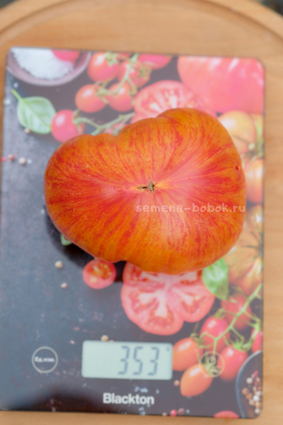 Томат Огненный Поцелуй Биколор с носиком, 10 шт