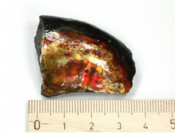 Аммолит, коллекционный образец, Канада (35*30*15 мм, 20 г) №27109