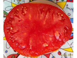 Томат Плоские сердца минусинские