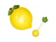 Салатник фарфоровый с ложкой Лимон