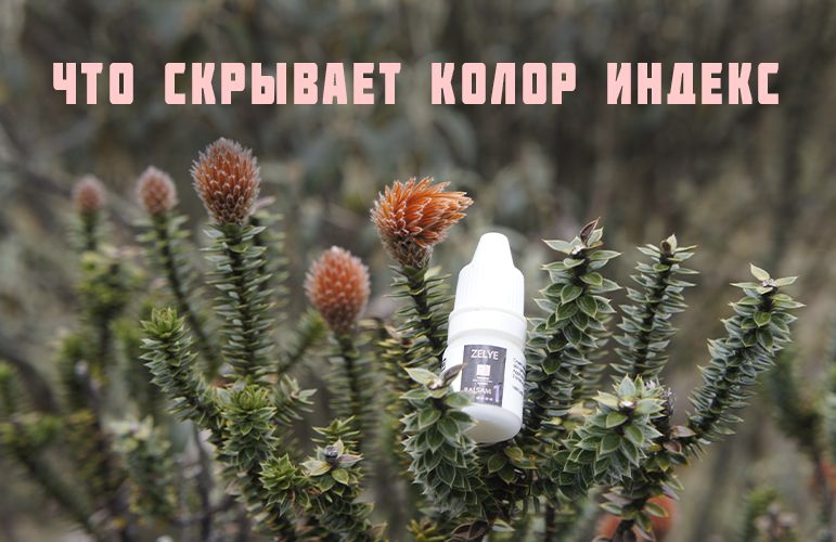 ЛИЦЕНЗИЯ НА СПРАВОЧНИК ЧТО СКРЫВАЕТ COLOR INDEX