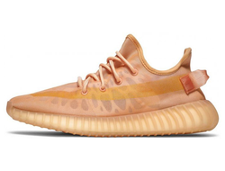 Adidas Yeezy Boost 350 V2 Mono Kley