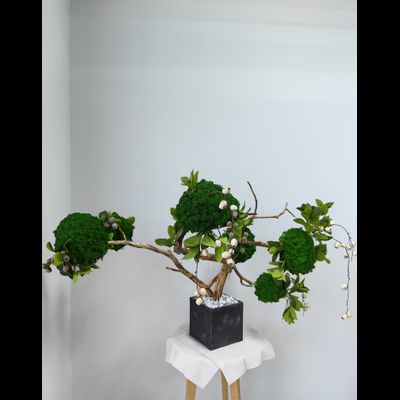 Живая эко-композиция 1006