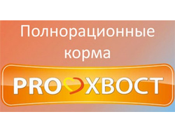 Прохвост Интернет Магазин Гомель