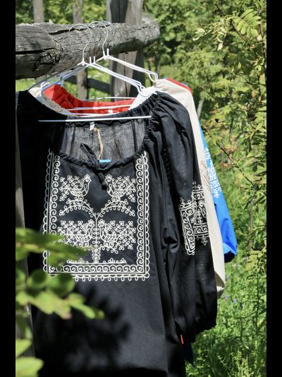 Блуза реглан «Птицы любви»