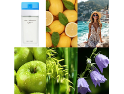 Dolce & Gabbana Light Blue