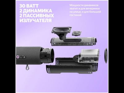 Яндекс Станция Стрит Черная