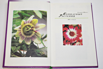 Гельмут Я. Комнатные растения. 365 советов. М.: Внешсигма. 2000г.
