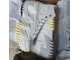 Converse Run Star Motion All White