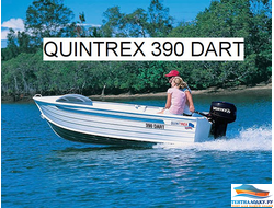 ТЕНТ НА  QUINTREX 390 DART