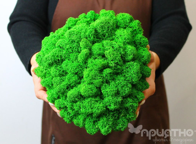 ЖИВАЯ ЭКО-КАРТИНА 1040