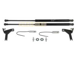 Амортизаторы капота, 2 шт. АвтоУпор для Ford Focus II / II рестайлинг 2005-2008 / 2008-2011