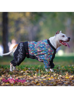 Комбинезон для больших собак Бута мультиколор