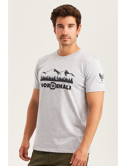 Футболка мужская DENALI BASIC Grey melange
