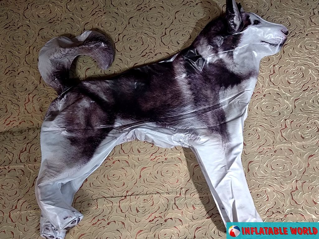 Надувной Мир - для любителей надувных игрушек - Надувные собаки ...