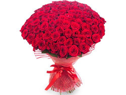 101 красная роза (70 см.)