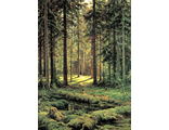 Хвойный лес, по мотивам картины Шишкина И.И.  (алмазная мозаика) mp-mz-mo avmn