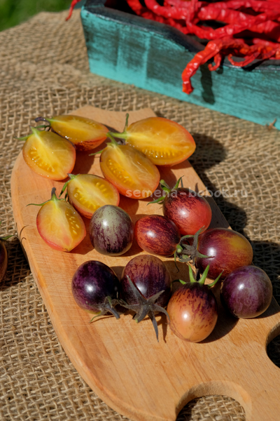 Томат Любушка, 10 шт