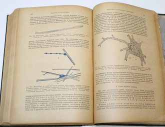 Гартман М. Общая биология. М.-Л.: Медгиз, 1936.