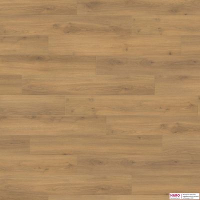 Декор ламината Haro Tritty 100 Дуб Эмилия Медовый 538692 фронт