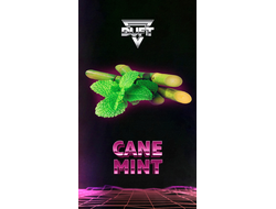 DUFT SOLO 20 г. - CANE MINT (ТРОСТНИКОВАЯ МЯТА)