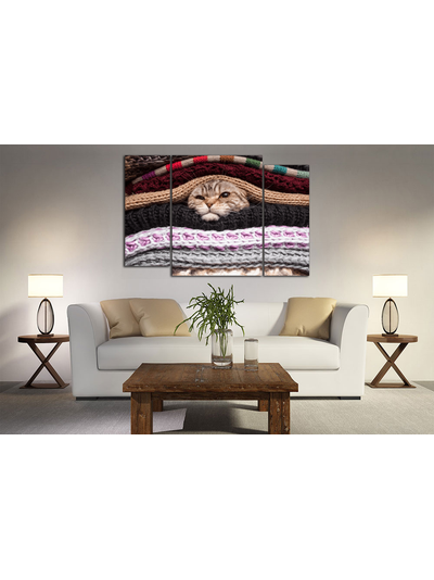 Модульная картина "Кот в тепле"