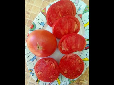 Томат Толстяк из Патонеса (Gordo de Patones)