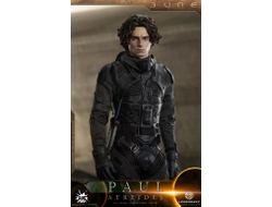 Пол Атрейдес (Тимоти Шаламе, "Дюна") - Коллекционная ФИГУРКА 1/6 scale Dune Paul Atreides (DL003) - AUG TOYS