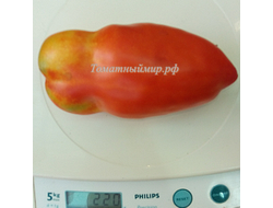 Томат Перцевидный гигант