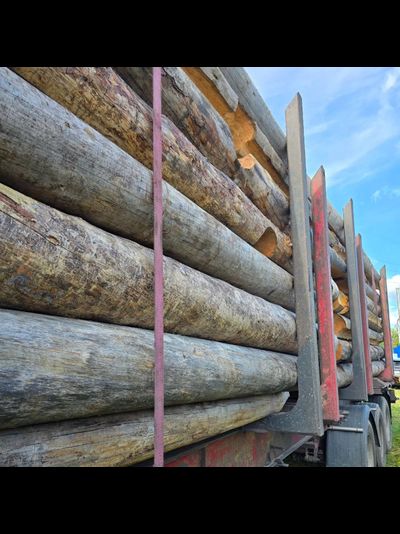 Бревно Кело диаметр 44 см, длина 6 м