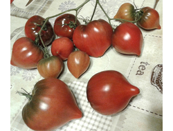 Семена томата Черное сердце с носиком от Борисовны