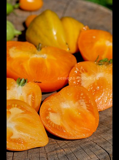 Томат Золотые Огни Алатау, 10 шт