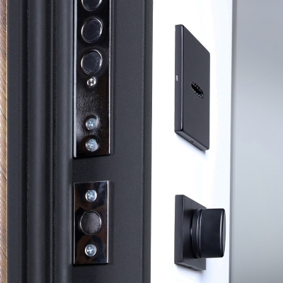 Стальная дверь   Plata с зеркалом (биометрический замок Smart lock DZ 888)