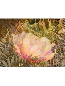 Постер на стену  «Лесной цветок»  из коллекции «Цветы»