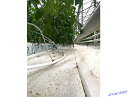 Трубка ПВХ 3х5 (100м) белая