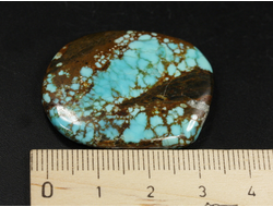 Бирюза, полировка плоская, США, Невада (35*28*5 мм, 8,6 г) №37842