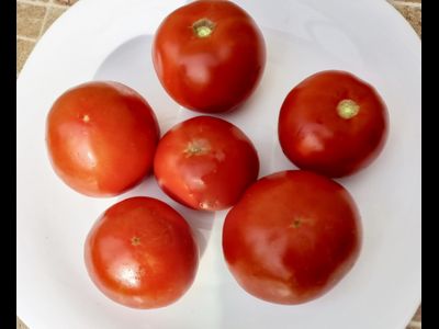 Томат Штамбовый крупноплодный