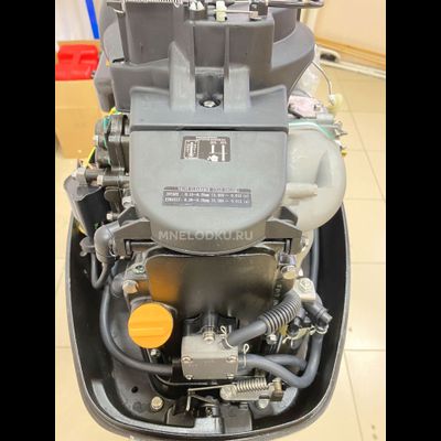 Лодочный мотор PARSUN F9.9BMS