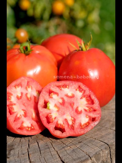 Томат Минусинский Бочковой, 10 шт